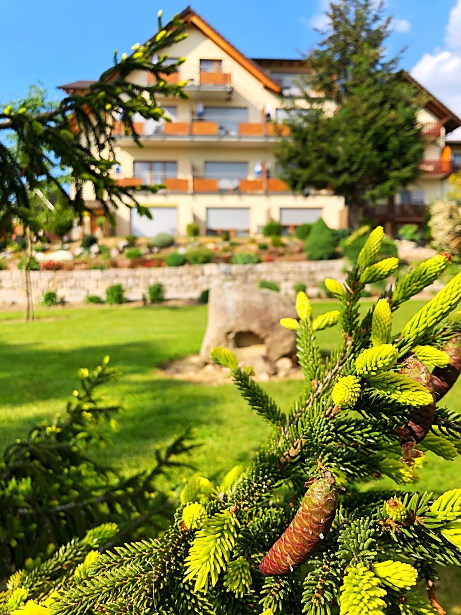 Hotel-Gasthof Rose Оберкирх Экстерьер фото