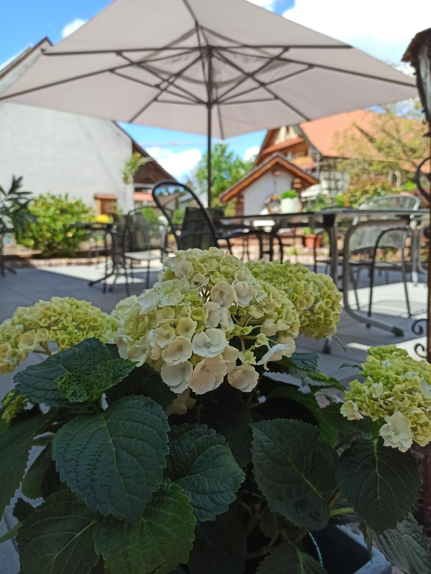 Hotel-Gasthof Rose Оберкирх Экстерьер фото